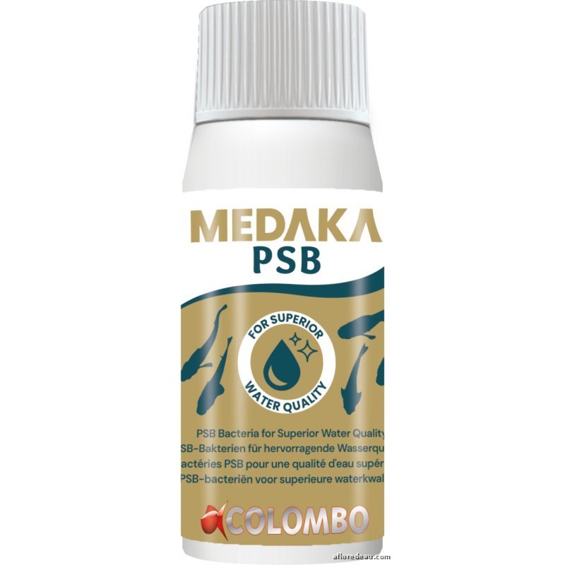 Medaka PSB, bactéries photosynthétiques en flacon