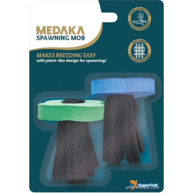 Brosses de ponte pour medakas, le support où l'on récolte les œufs