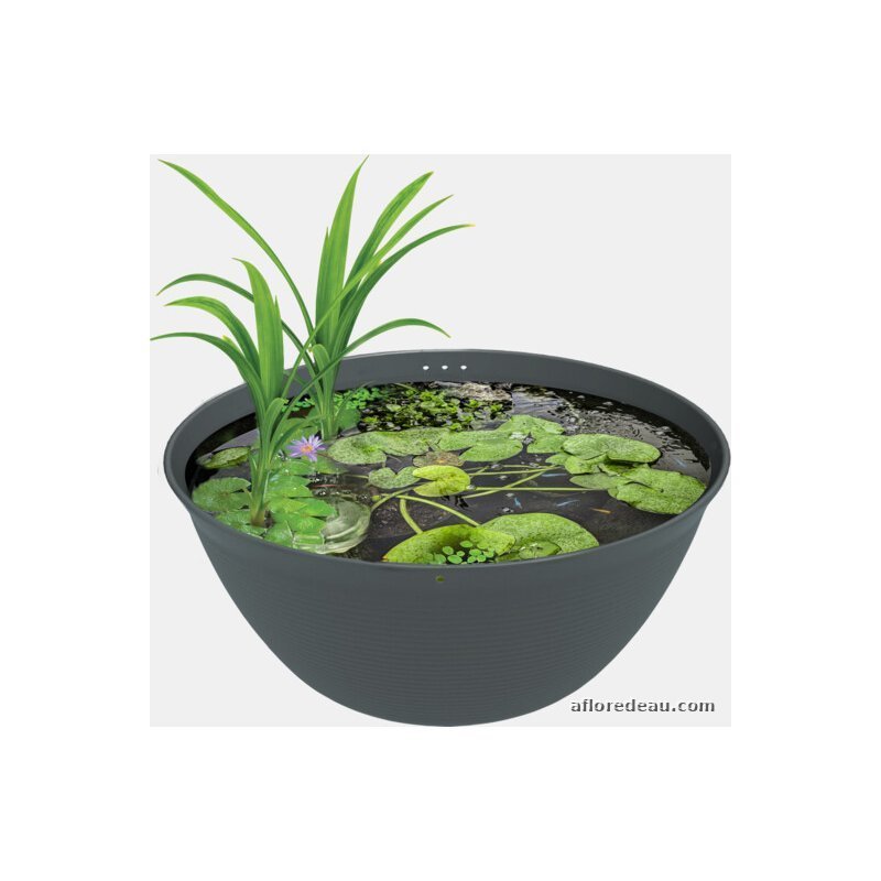 Medaka Bowl 600, vasque de 36 litres pour l'extérieur